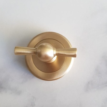 zamknięcie do WC AM101 z mosiądzu szczotkowanego lakier mat