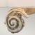 zbliżenie-kinkiet-swirl-s-biały.jpg